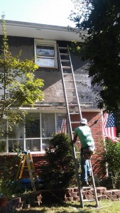 10176186 574634642663118 2277412147971916079 n