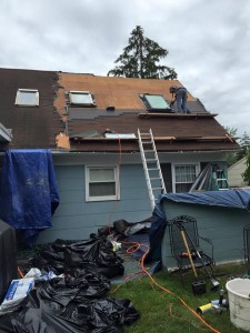 11412146 709588229167758 524423781819094716 n