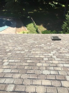 11866259 742856079174306 3859118447734048637 n