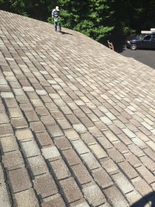 11866368 742856152507632 2712881363780783382 n