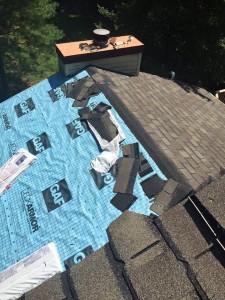 11870948 742856142507633 1269089558528842712 n