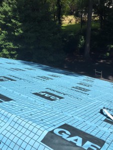 11885384 742856065840974 862748580052094840 n