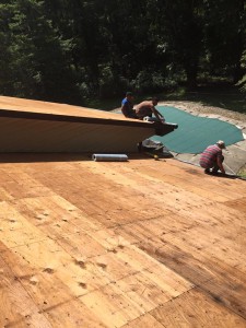 11888041 742855995840981 1616838568832059721 n