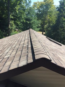 11900062 742856109174303 7853802056867140045 n