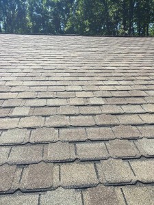 11904696 742856172507630 5725940331822424719 n