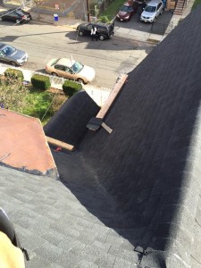 12243286 785225111604069 24098574009921727 n