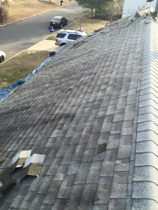 12734175 827256654067581 7323620946867036742 n