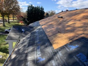 403612867 794411629154037 2579167192464653354 n