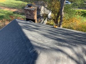 403728516 794411905820676 1383715160895477811 n