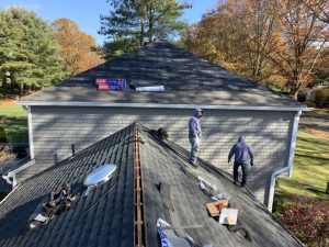 DIY vs Professional Roofing