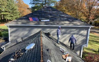 DIY vs Professional Roofing: When to Call a Roofing Contractor – A Guide by Trejo Construction Corp