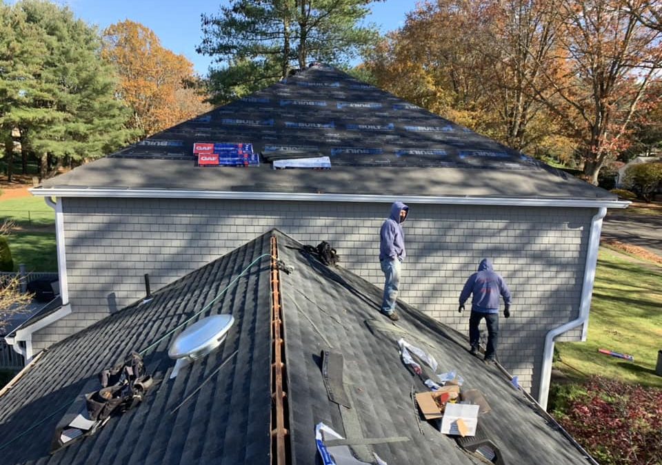 DIY vs Professional Roofing