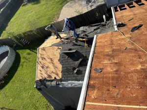 Spotting and Fixing Roof Leaks