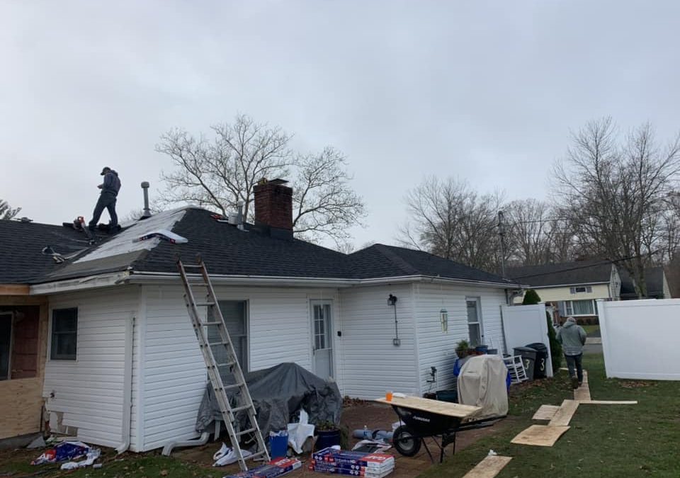 Roof Needs Immediate Repair