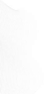 agency 41 play button 9